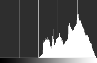 Histogram of a low-contrast scene, exposed to the right.