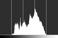 Histogram of a low-contrast scene, normally exposed.