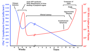 A graph with two lines. One in blue moves from high on the right to low on the left with a brief rise in the middle. The second line in red moves from zero to very high, then drops to low and gradually rises to high again