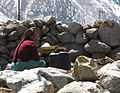 Inhabitant of Chitkul.JPG