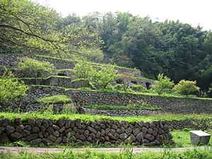Ruins of terraces built on a hillside.