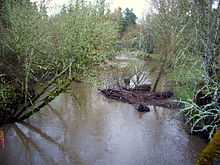 A stream about 15 feet (4.5 meters) wide flows through a wooded area.