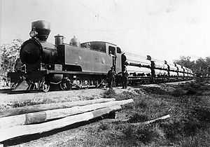 A K class with a Goldfields Water Supply Scheme pipe train, ca. 1902.