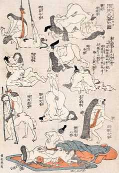 Illustrations of various sex positions