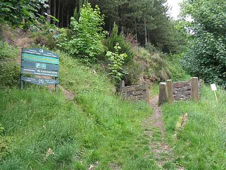 An entrance sign to the woodland, surrounded by grass and trees in the background