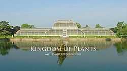 Kingdom of Plants 3D title card