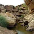 Kirthar National Park.jpg