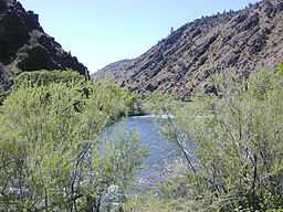 Light-green desert bushes in front of the river and its canyon