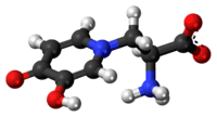 Ball-and-stick model of the L-mimosine zwitterion