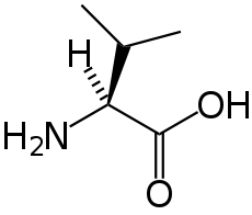 A chemical structure diagram of valine