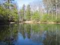 Lake @ Zen Mountain Monastery.jpg