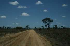 Lakefield National Park, Cape York, Australia