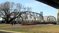 Langevin Bridge