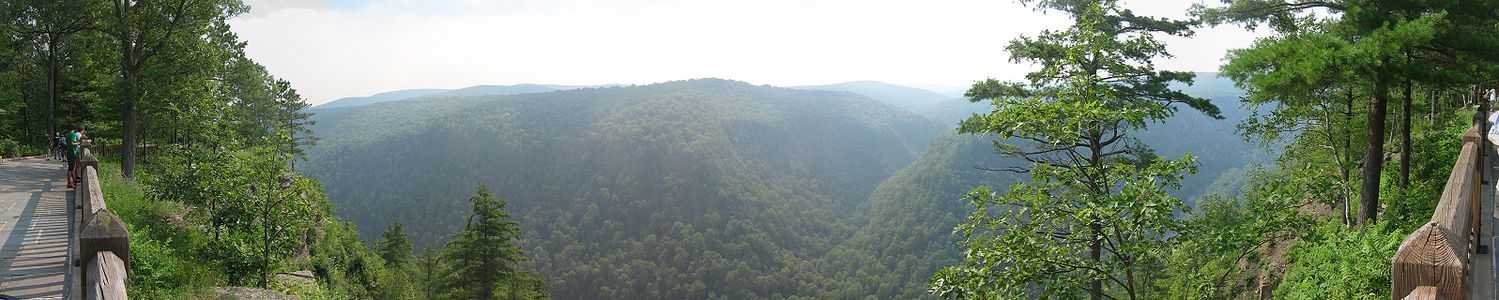 a panoramic view of a wooded gorge, on the left and right is a wooden fence with several visitors standing at an overlook, also on the left is a paved platform, the gorge is covered with green trees