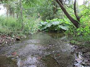 Lerbach River