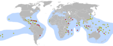 This world map shows concentrated nesting sites in the Caribbean and northeast coast of South America. Many other sites are spread across South Pacific islands, with other concentrations in the Red Sea and Persian Gulf, China's East coast, Africa's southeast coast and Indonesia.