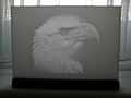 Lithophane - bald eagle.jpg