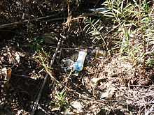 A picture of trash thrown in the dried stream at trestles.