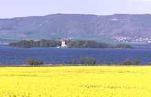 A field of yellow flowers in the foreground, with a dark blue lake beyond. A wooded island in the lake has a white structure of two storeys at centre and there are green and brown hills beyond. There is a small cluster of houses on the distant hill slope at right.