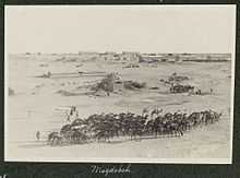 Magdhaba, with camels in foreground