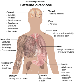 Torso of a young man with overlaid text of main side-effects of caffeine overdose.