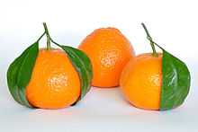 Mandarin Oranges (Citrus Reticulata).jpg