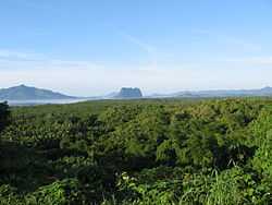 A blanket of green mangrove stretches out, with volcanic mountains in the distance.