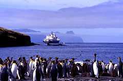 View of King Penguins on a beach (foreground), a ship (middleground) and a distant, rugged island (background)