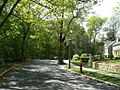 Middlesex Fells Reservation Parkways