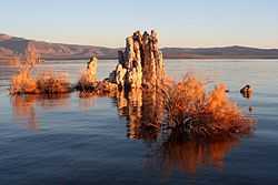 A rock formation rises from the surface of a calm lake.  Plantlife appears to grow from around the rocks.  In the distance, the horizon is filled with steep hills and small mountains.  The sky is blue, and the sun appears to be low, casting long shadows across the image.  The rocks and plant life appear sandy in colour.
