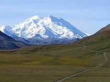 Mount McKinley seen through a green field