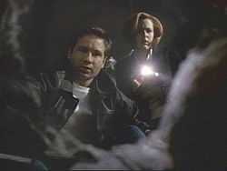 A man in a leather jacket and a woman with a flashlight look into a hole that contains a corpse.