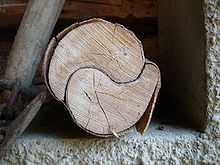 Wood grown in yin yang shape