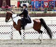 A horse with brown and white spots being ridden by a woman in a dark suit at a horse show