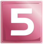 NET 5 logo