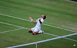 Novak Djokovic celebrates his 2011 Wimbledon semi-final win over Jo-Wilfried Tsonga. Victory meant that Djokovic successfully clinched the ATP world No. 1 Ranking for the first time in his career on 1 July 2011. He also reached his first ever Wimbledon final, which he eventually won.