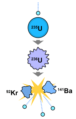 A diagram showing a chain transformation of uranium-235 to uranium-236 to barium-141 and krypton-92