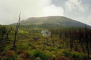 A picture of a mountain landscape with trunks of trees or shrubs that appear to have burned.