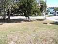 Ormond Beach FL mound top01.jpg