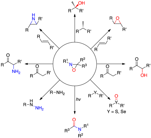 Oxaziridine Reactions