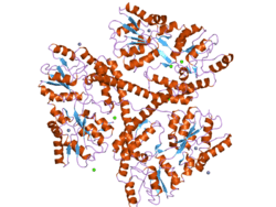 Predicted crystal structure of the N-terminus of huntingtin