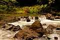 Pangil River white water.jpg