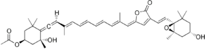 Skeletal formula