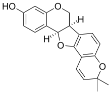 Chemical structure of phaseolin