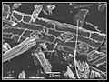 Phytolithes observés au Microscope Electronique à Balayage 04.jpg