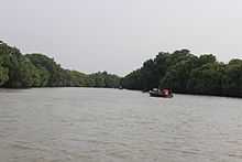 Pichavaram Mangrove Forest 5.JPG