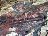Pictographs at Painted Rock.jpg
