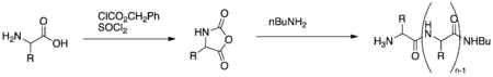 Poly-Leucine Synthesis