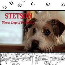 This is the Poster art for the film Stetson, Street Dog of Park City