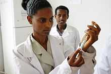 A nurse prepares an injection of measles vaccine.